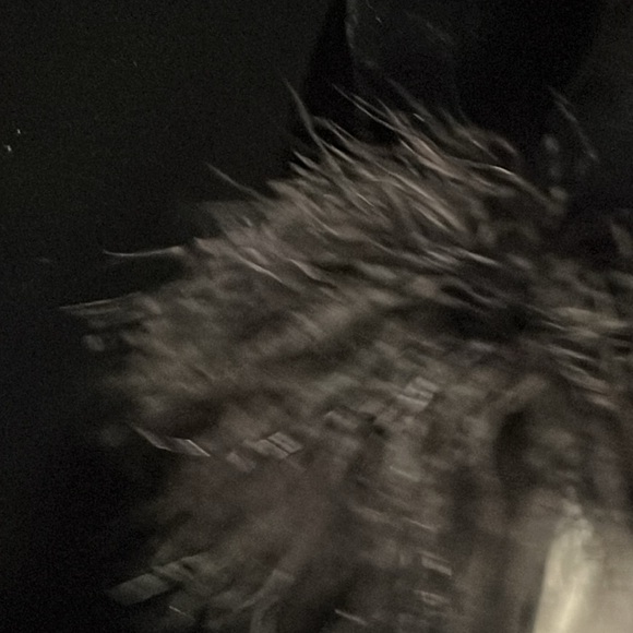 Carabella Black Dress. Scoop neckline trimmed in feathers. Long sleeves feathers - Picture 3 of 12